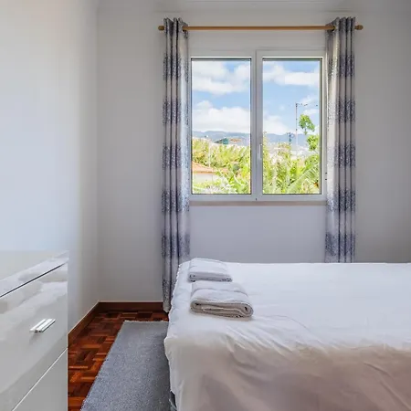 Sea View - By Wehost